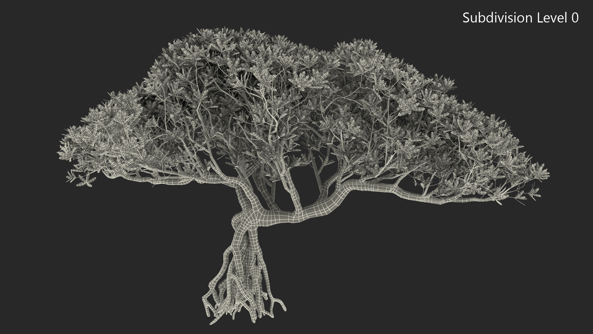 3D Miniature Bonsai Tree