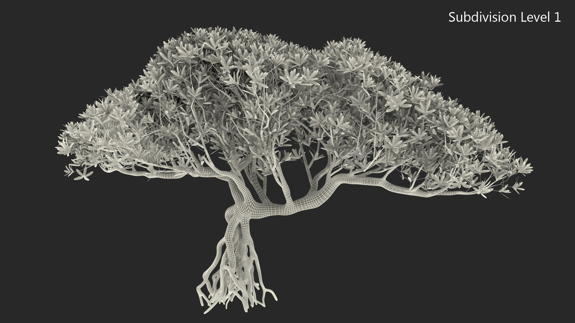 3D Miniature Bonsai Tree