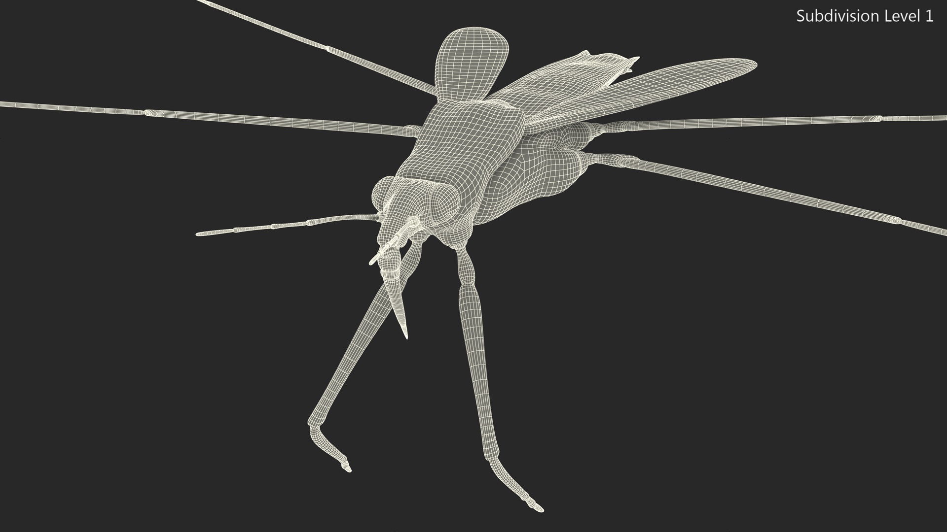 Water Strider Rigged for Maya 3D model