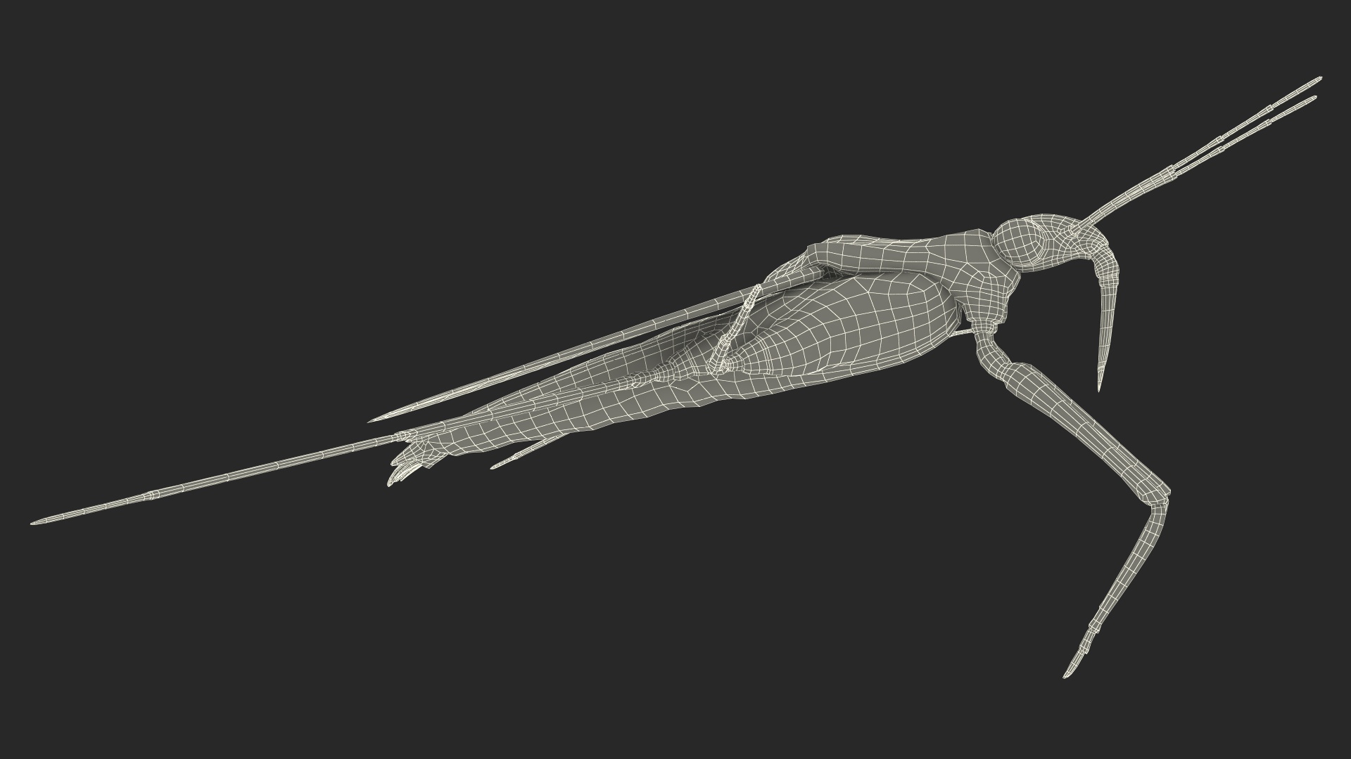 Water Strider Rigged for Maya 3D model