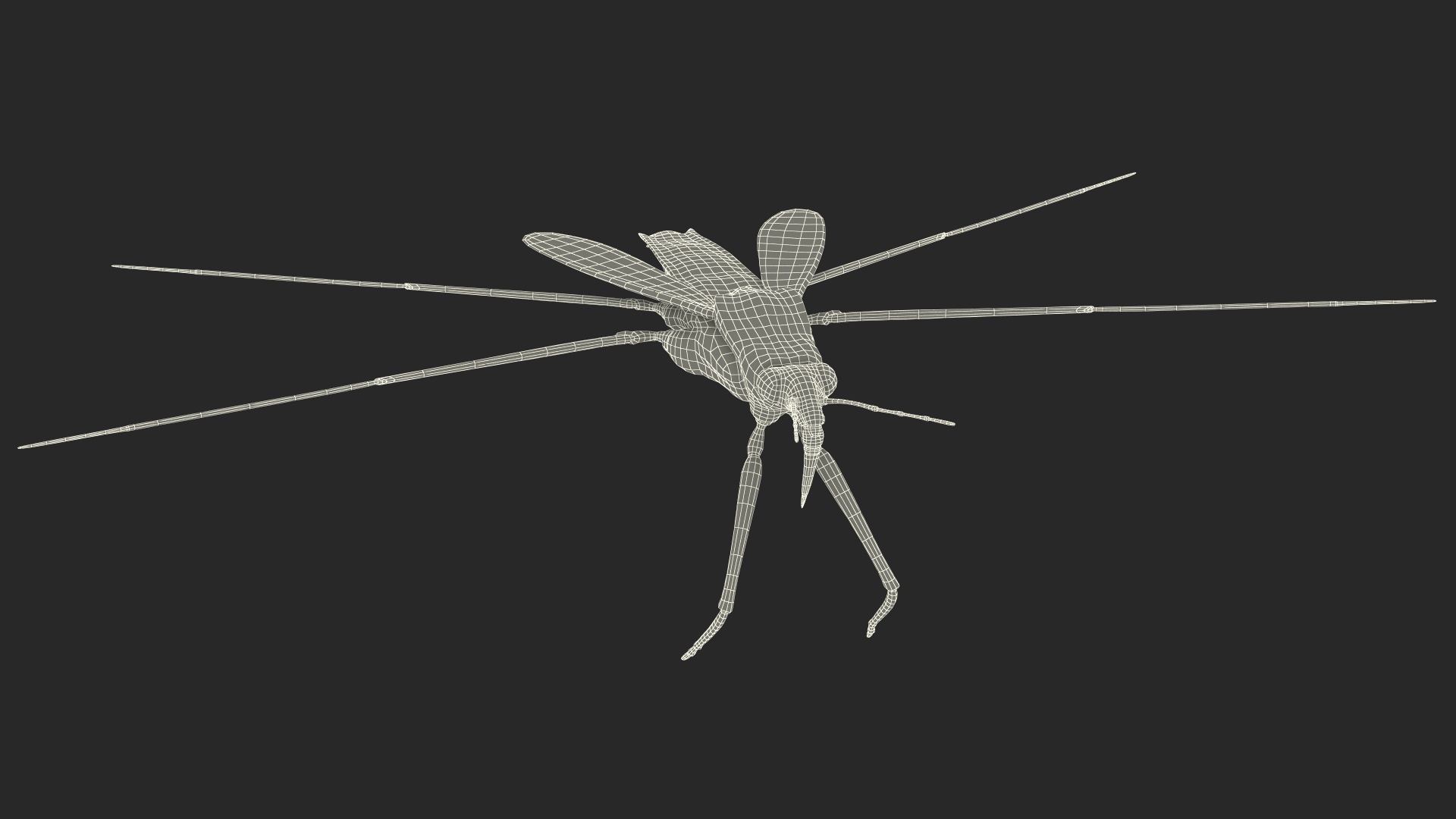 Water Strider Rigged for Maya 3D model