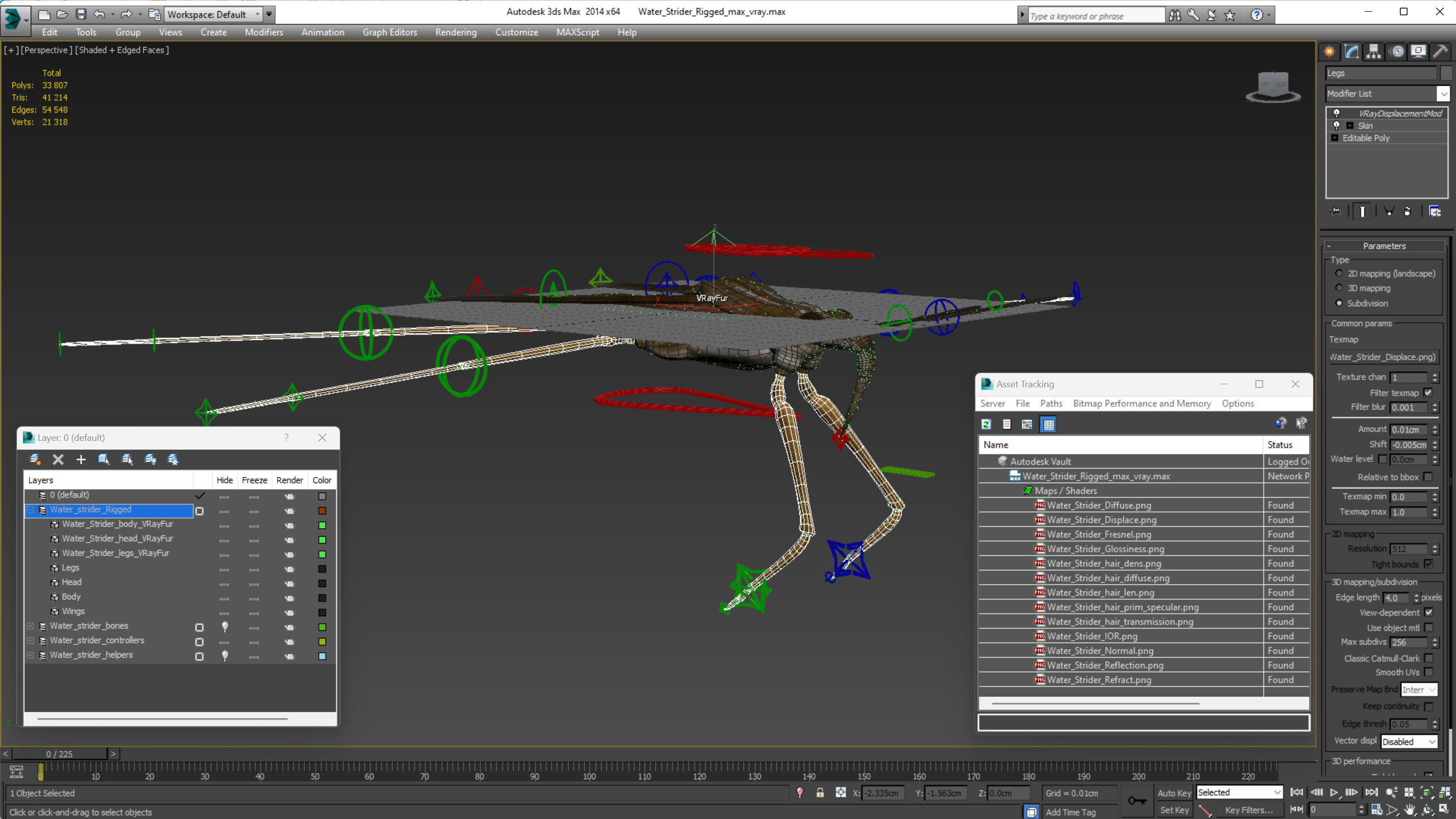 Water Strider Rigged for Maya 3D model