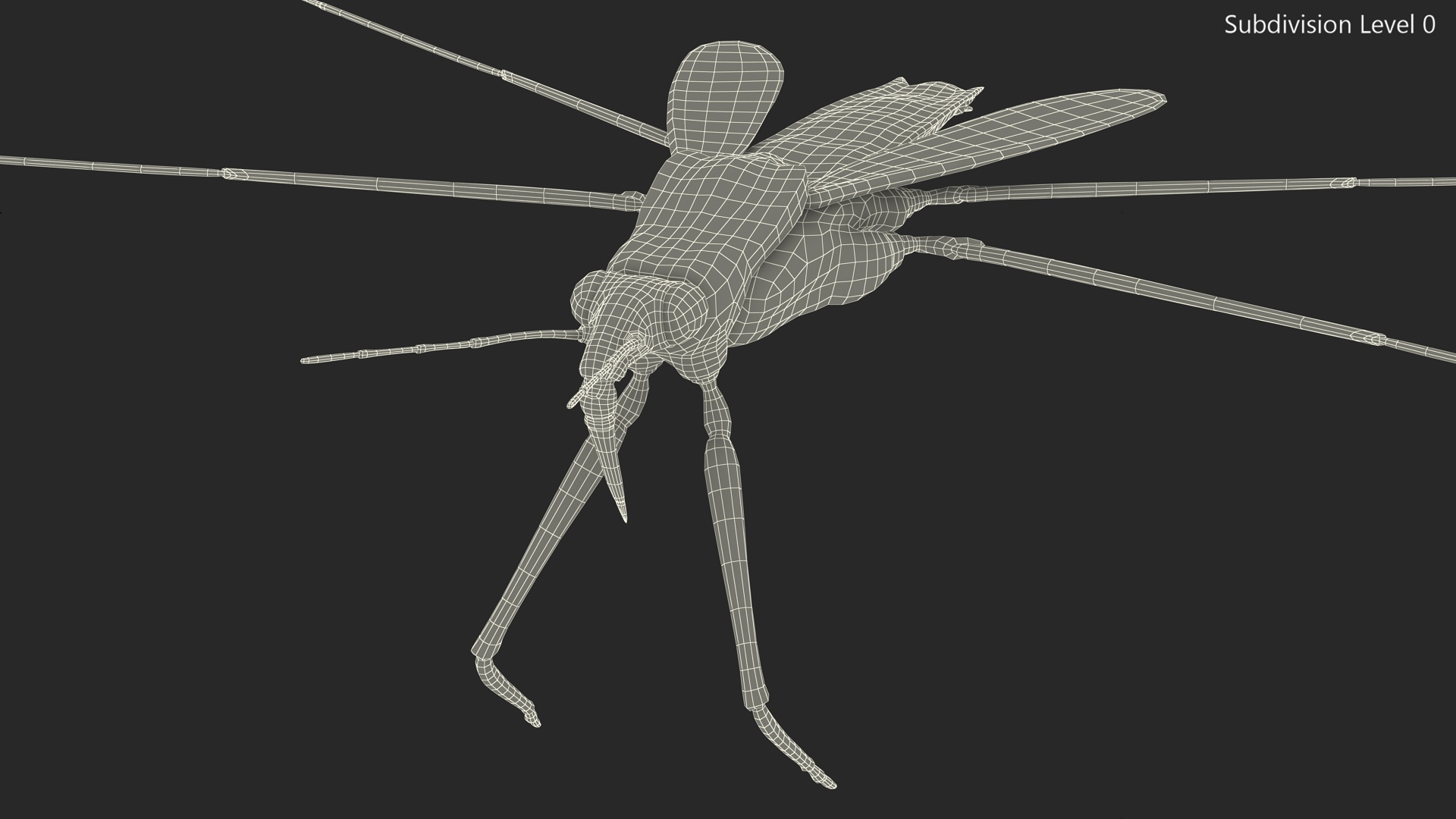 Water Strider Rigged for Maya 3D model