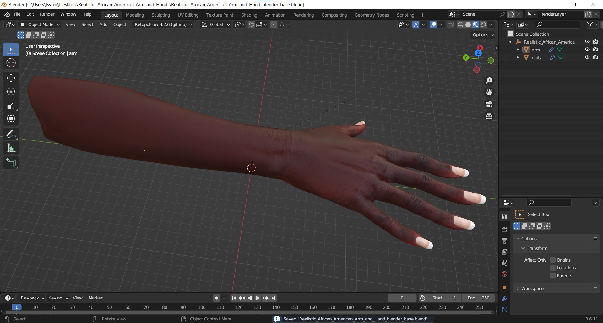 Realistic African American Arm and Hand 3D model