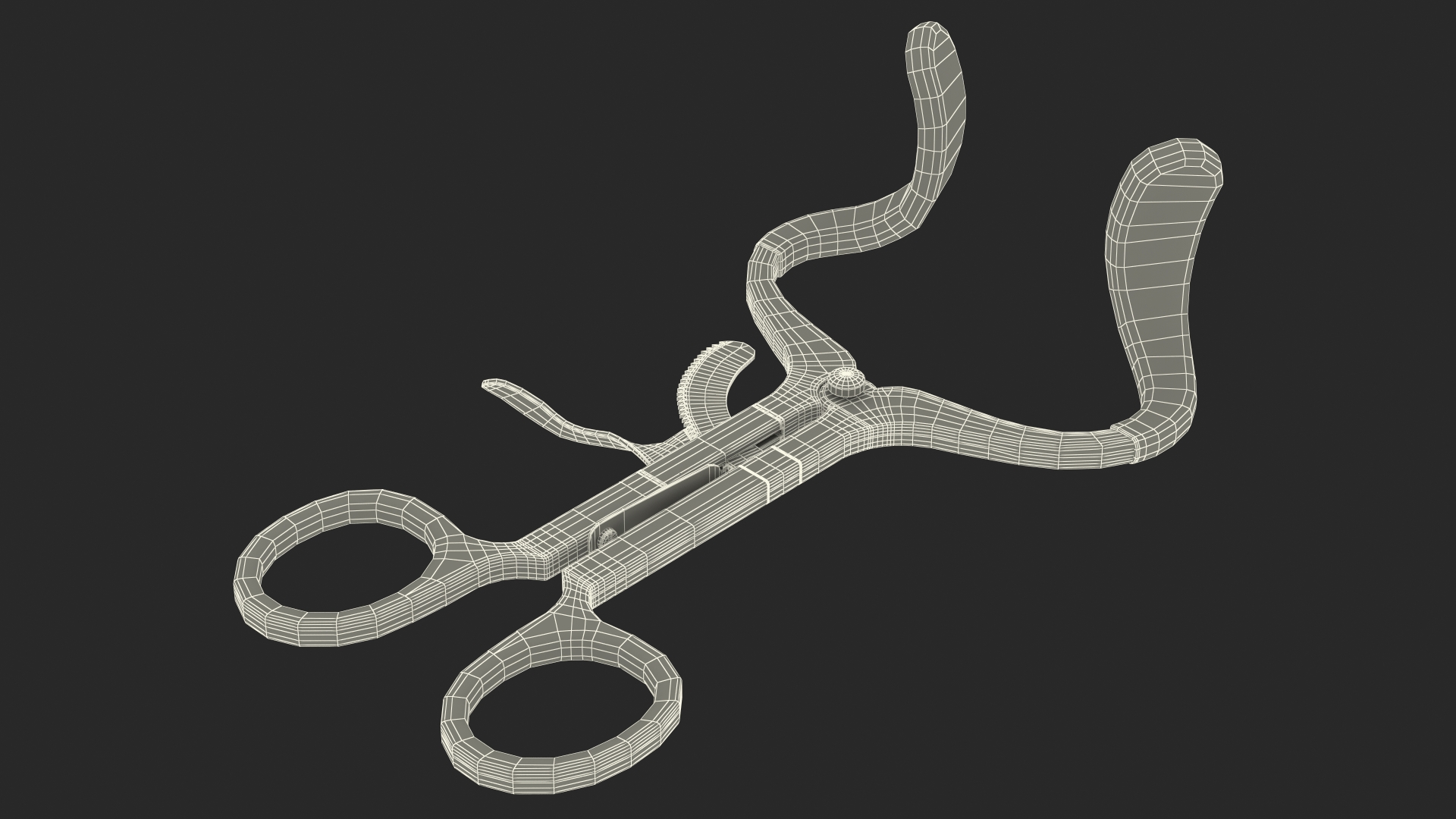 3D model Stainless Steel Molt Mouth Gag