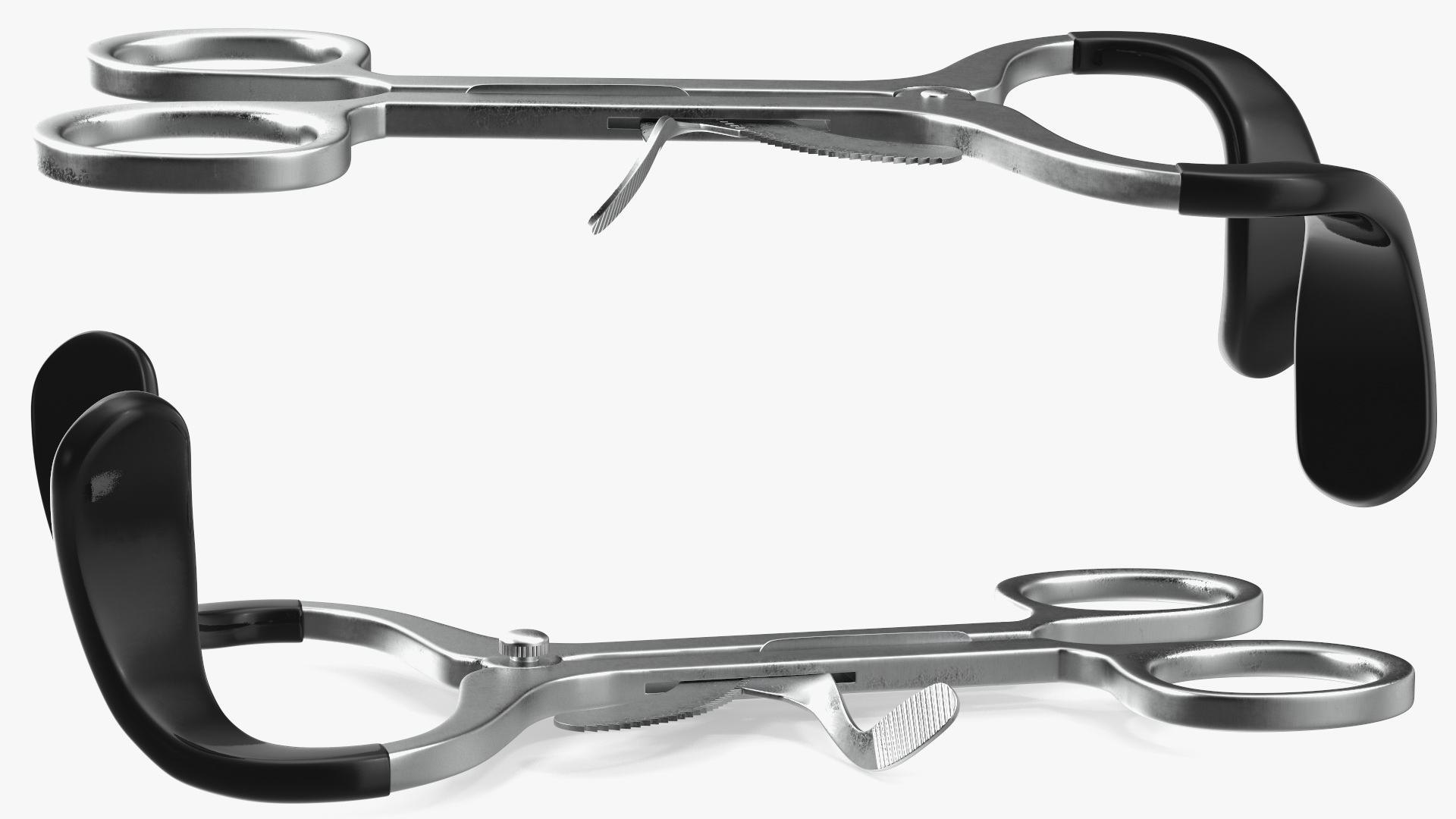 3D model Stainless Steel Molt Mouth Gag