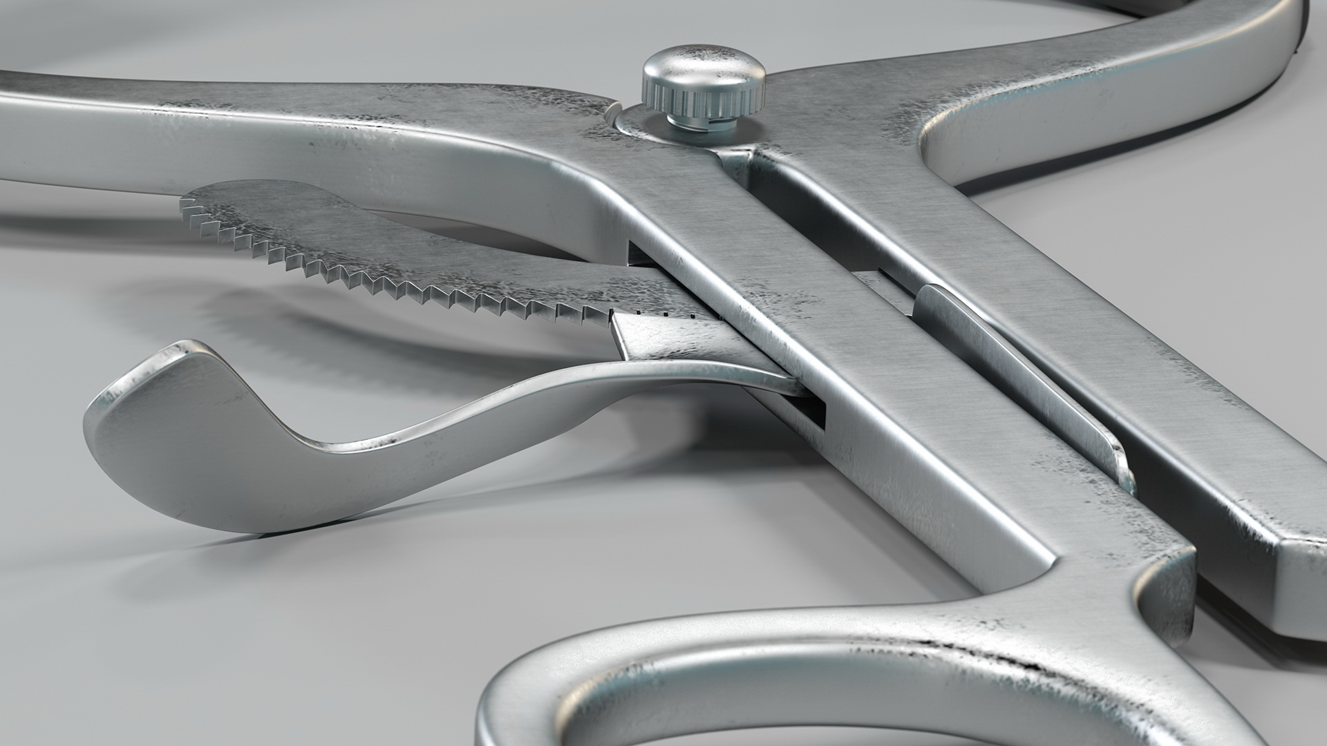 3D model Stainless Steel Molt Mouth Gag