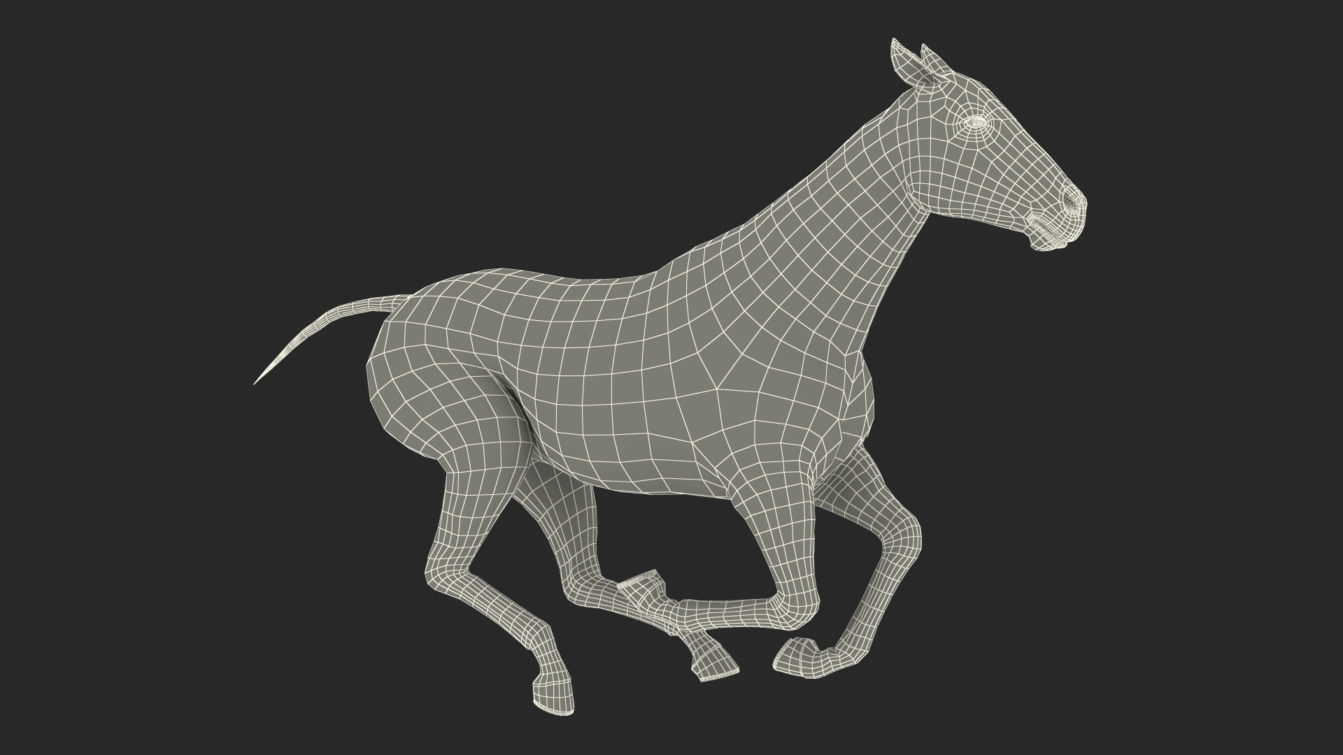 3D Gallop Black Horse model