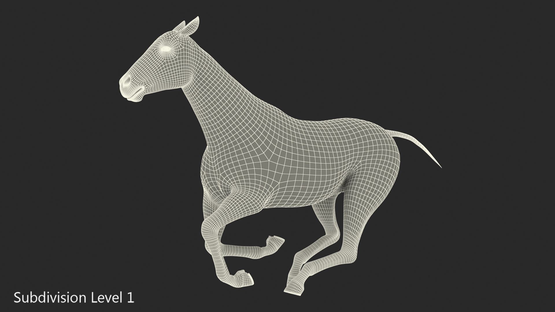 3D Gallop Black Horse model