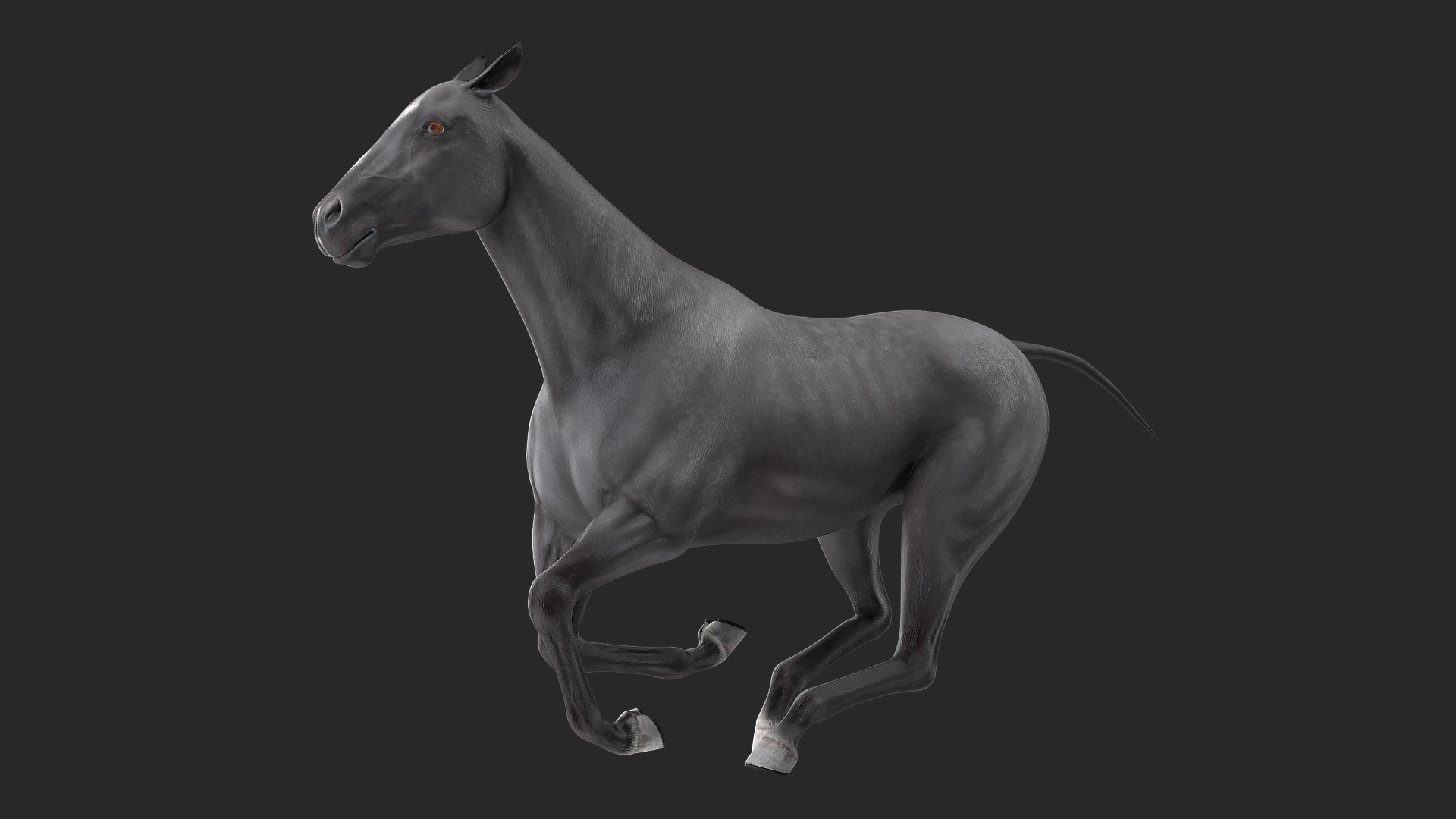 3D Gallop Black Horse model