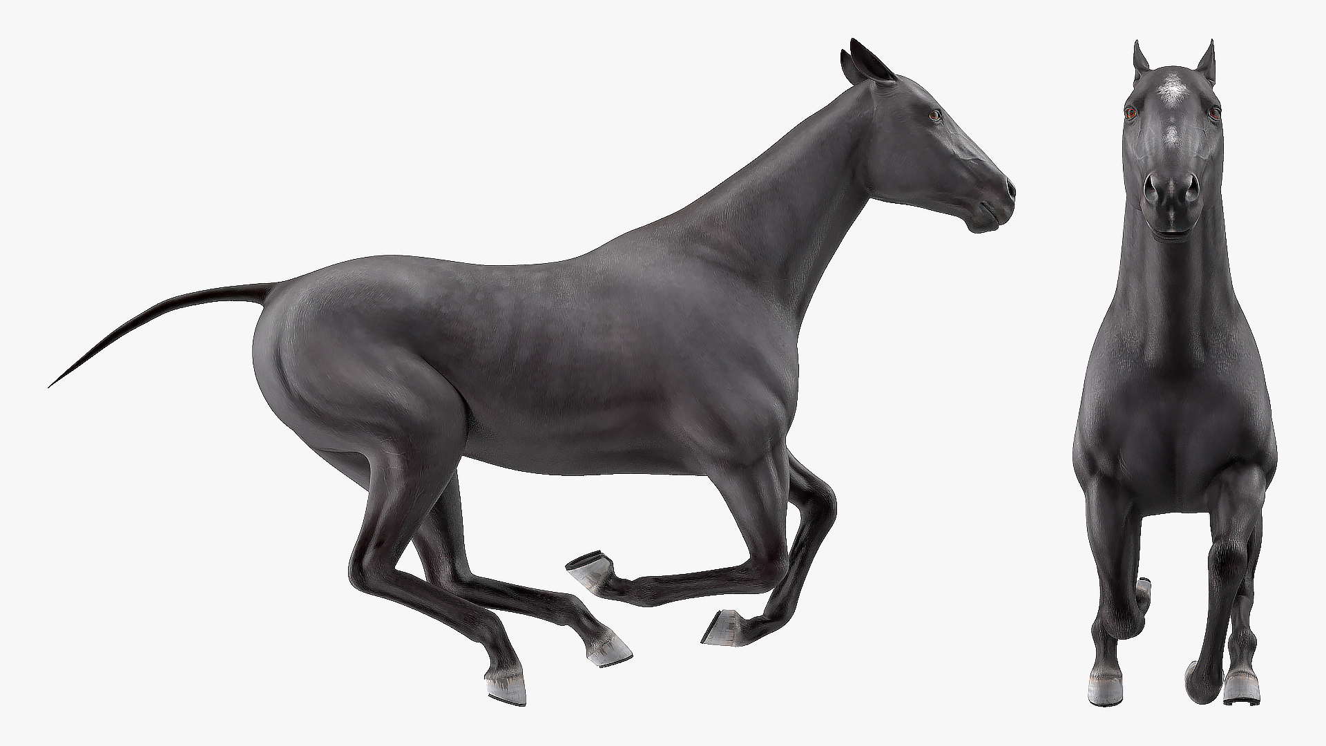 3D Gallop Black Horse model