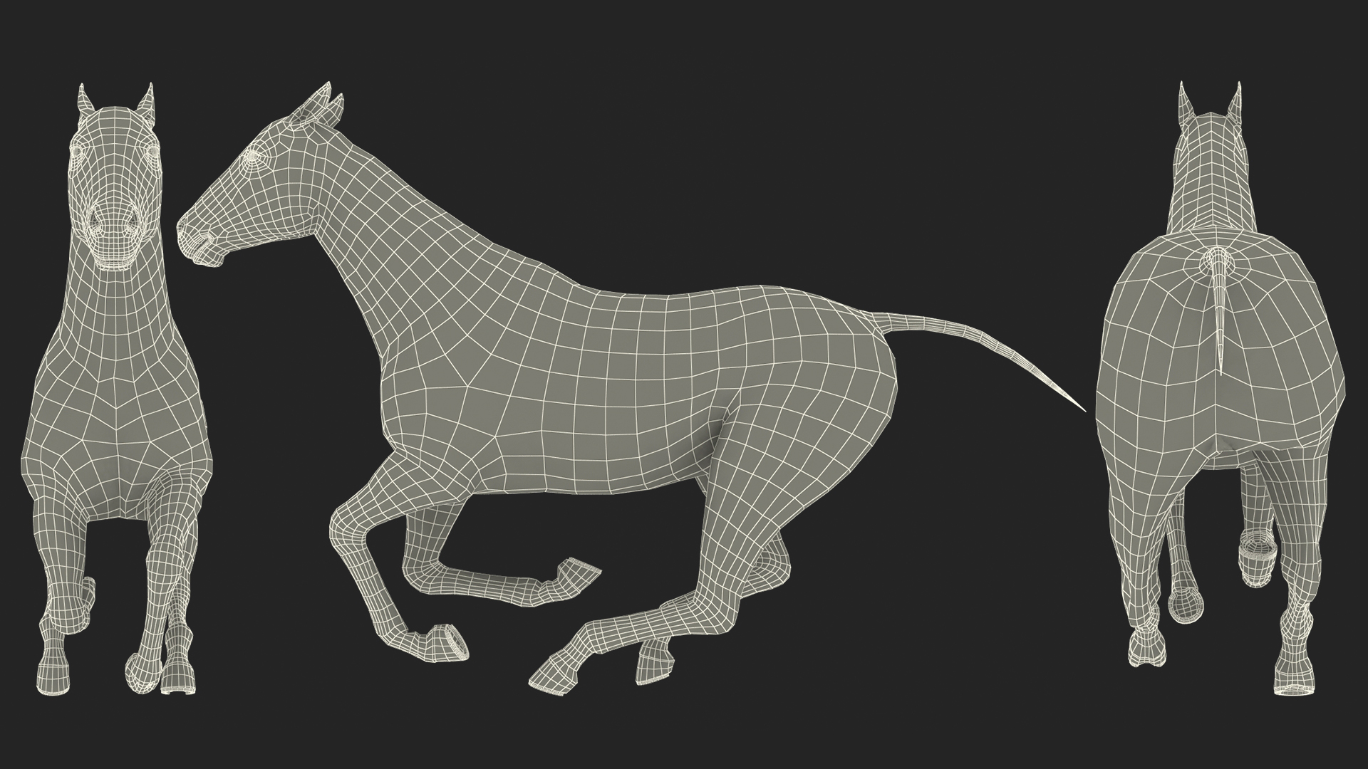 3D Gallop Black Horse model