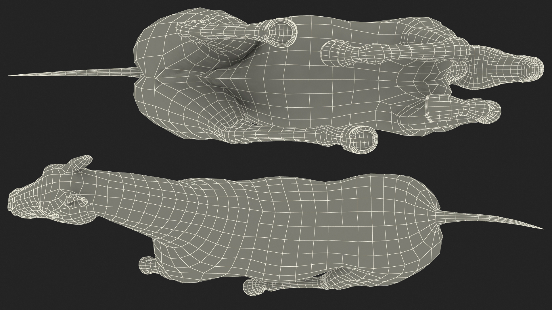 3D Gallop Black Horse model