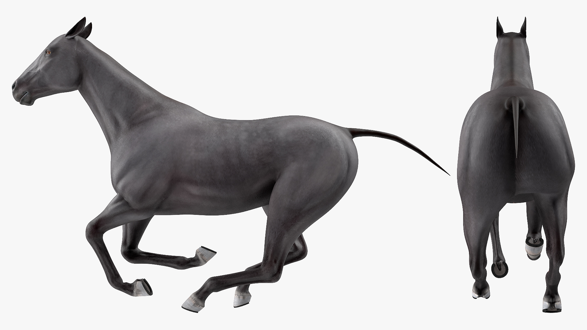 3D Gallop Black Horse model