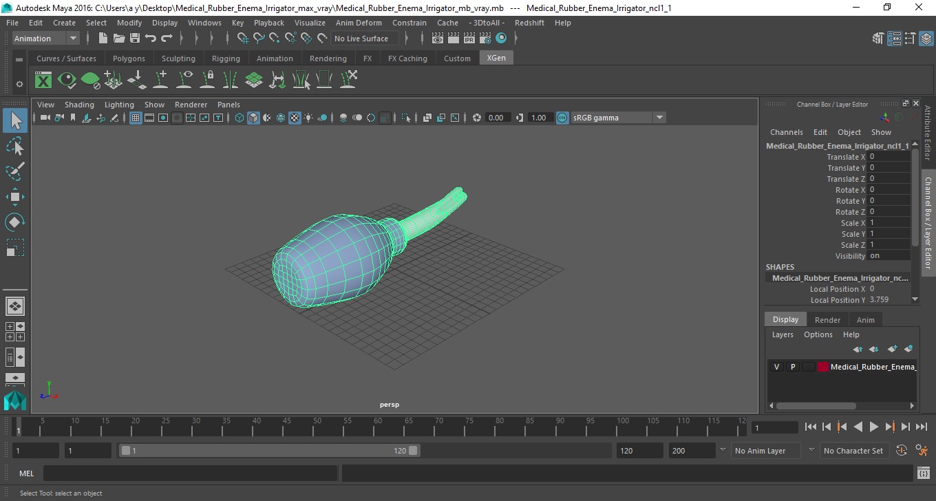 3D model Medical Rubber Enema Irrigator