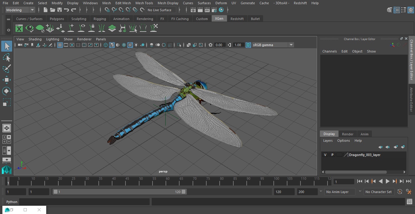 Dragonfly 3D model