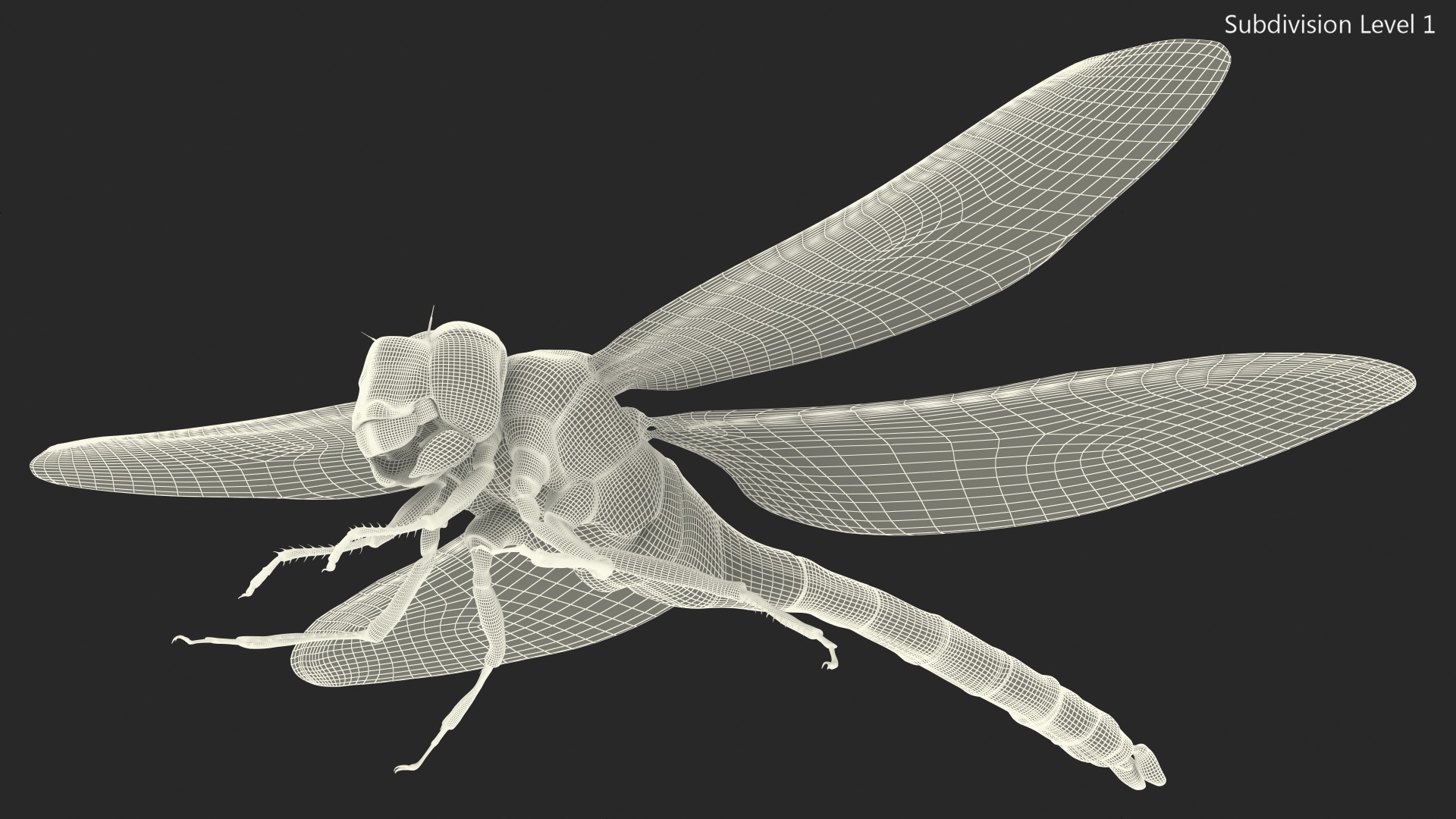 Dragonfly 3D model