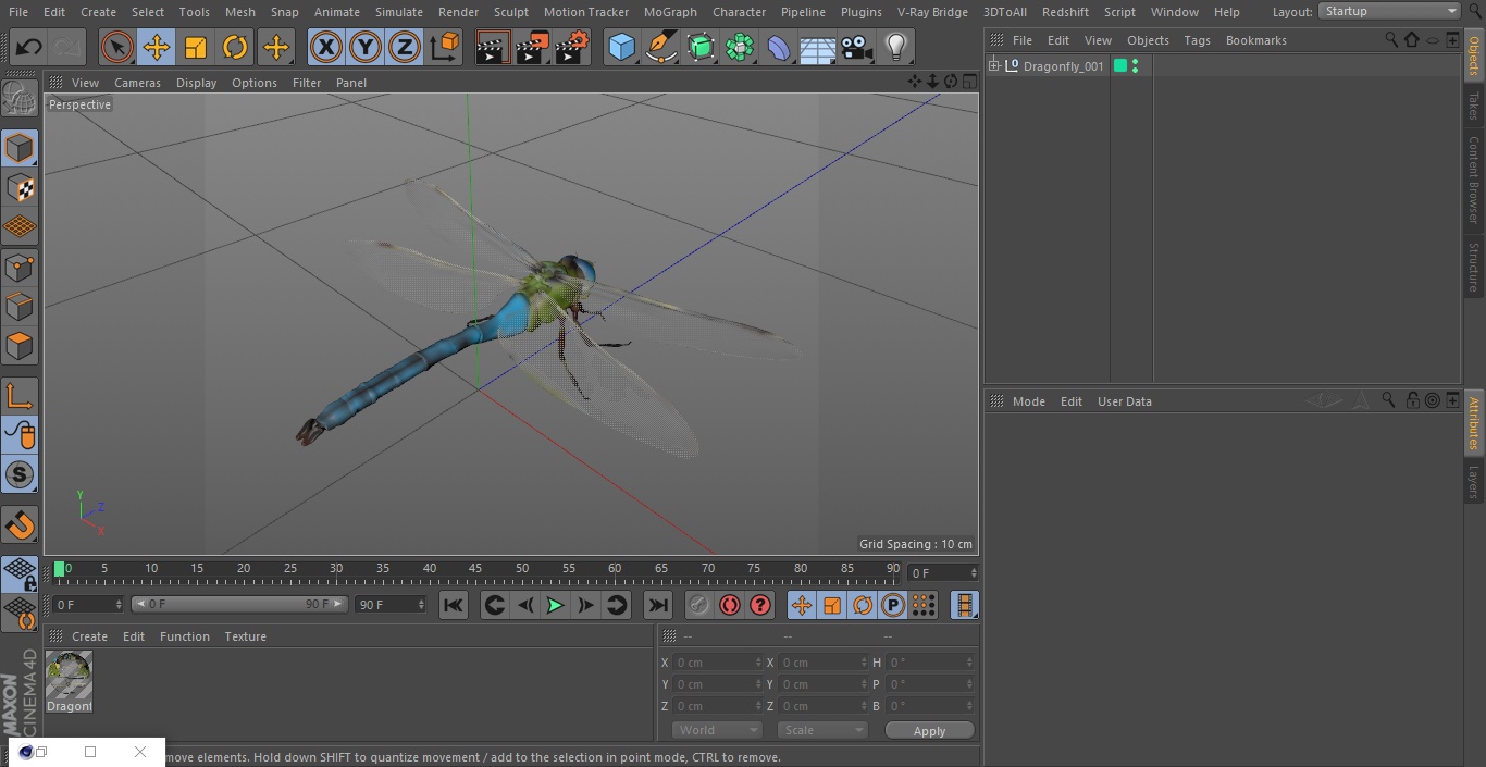 Dragonfly 3D model