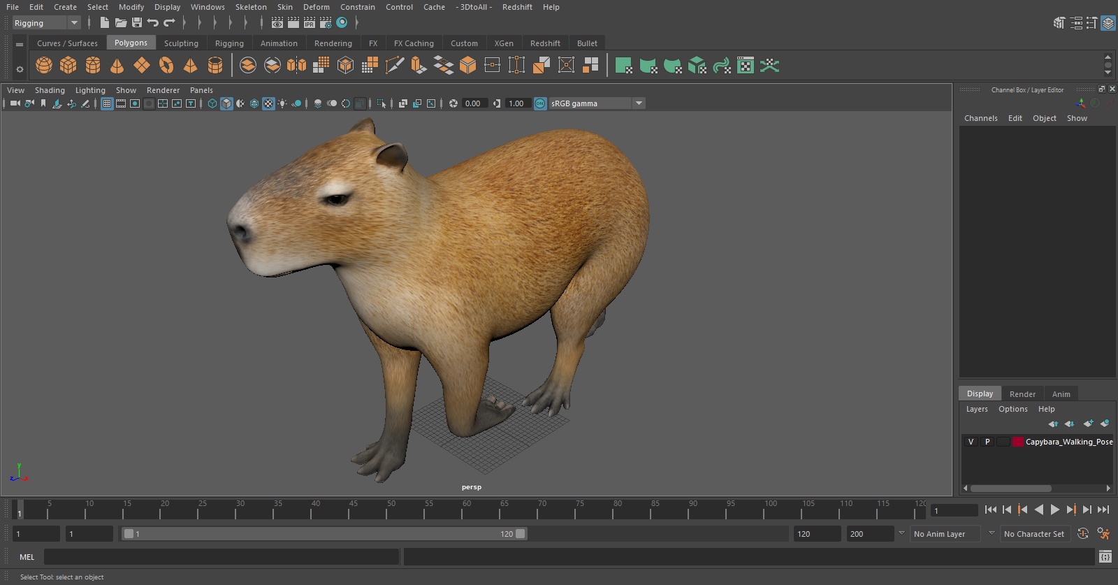 3D Capybara Walking Pose