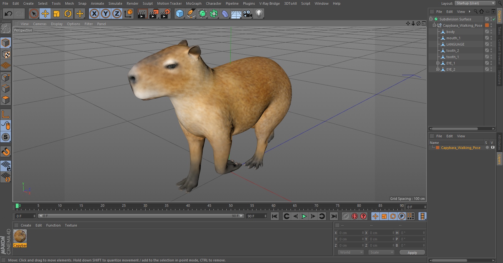 3D Capybara Walking Pose