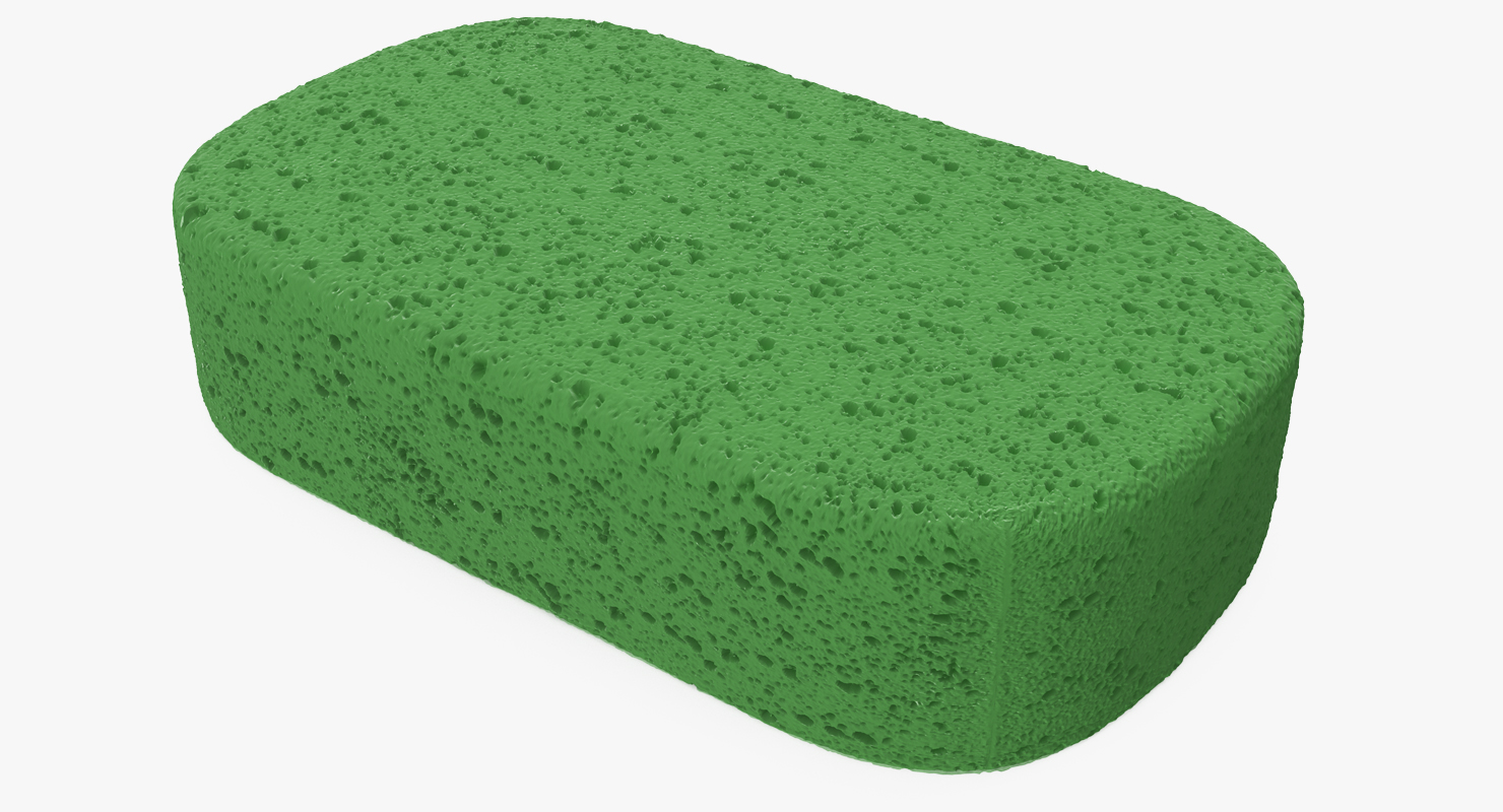 3D model Car Wash Sponge