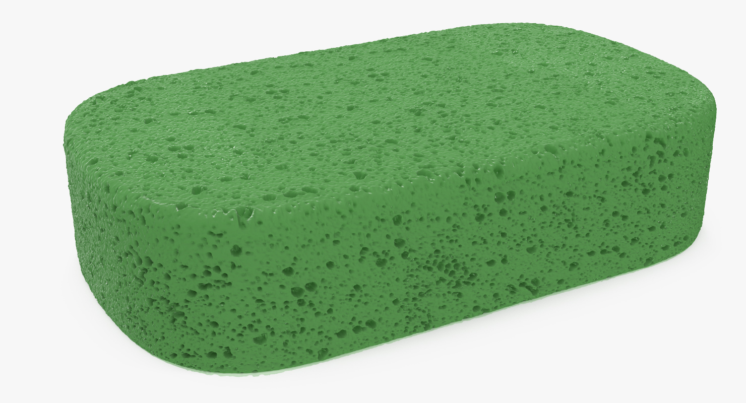 3D model Car Wash Sponge