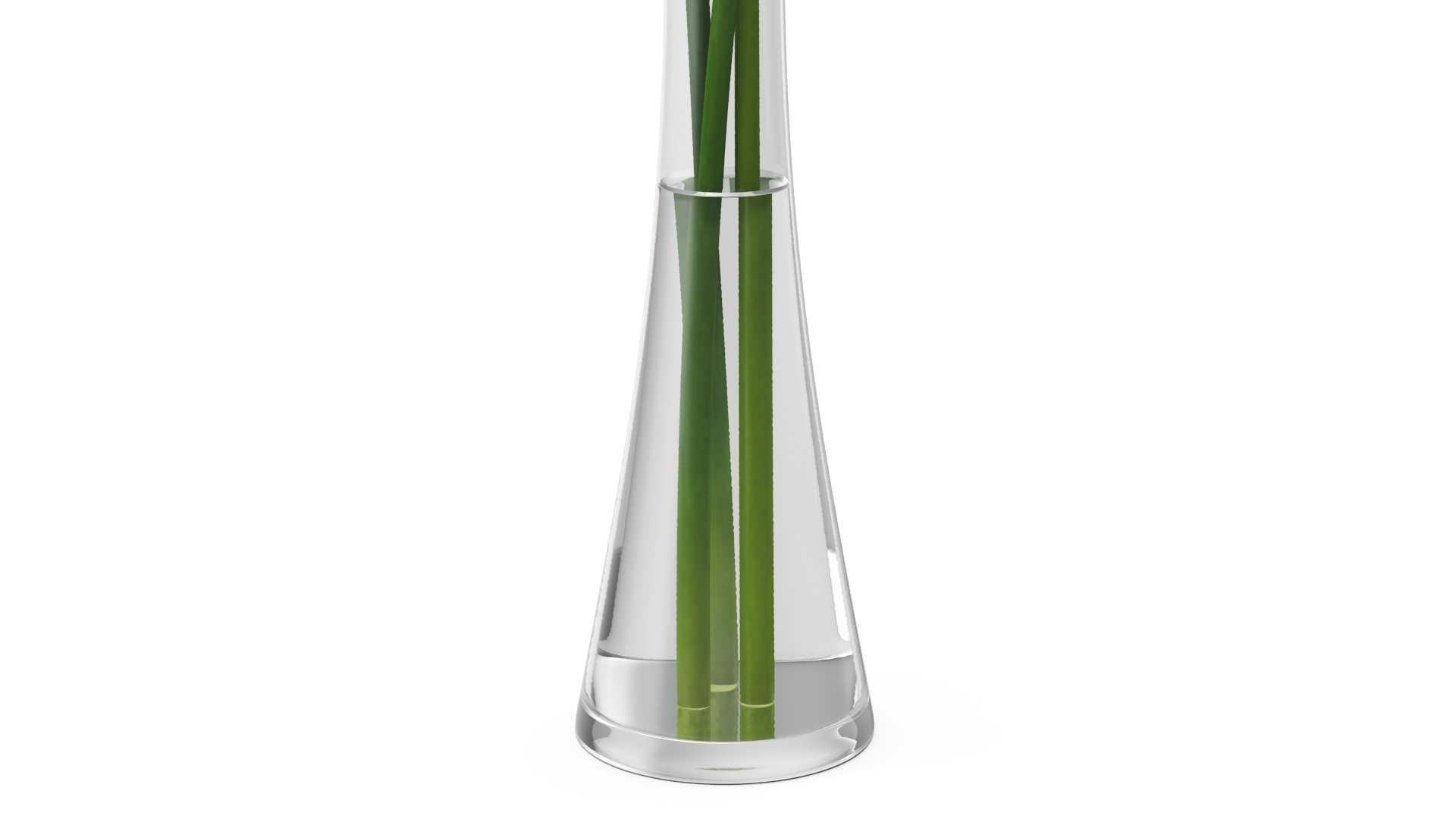 3D Bouquet of Spider Lilies in Glass Vase model