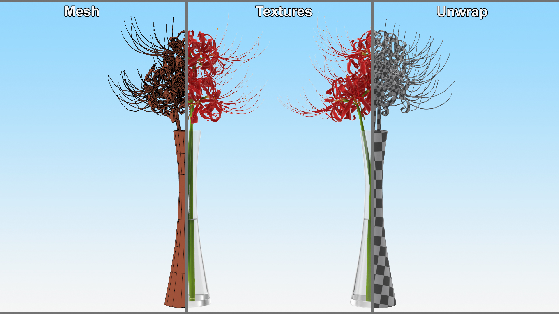 3D Bouquet of Spider Lilies in Glass Vase model