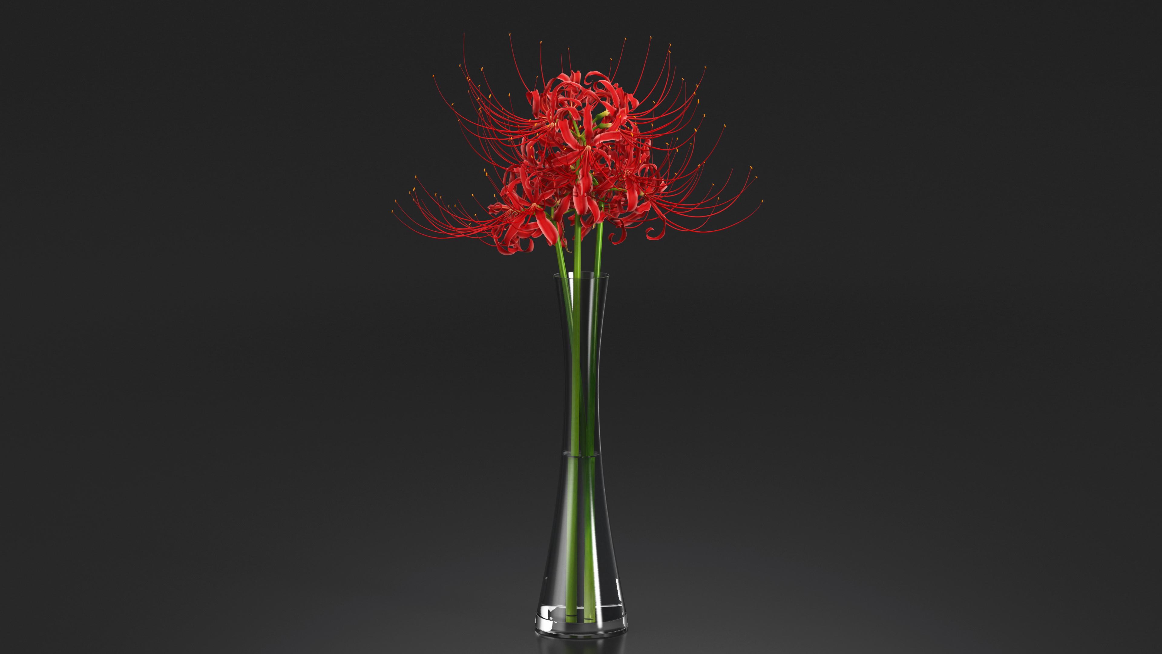 3D Bouquet of Spider Lilies in Glass Vase model