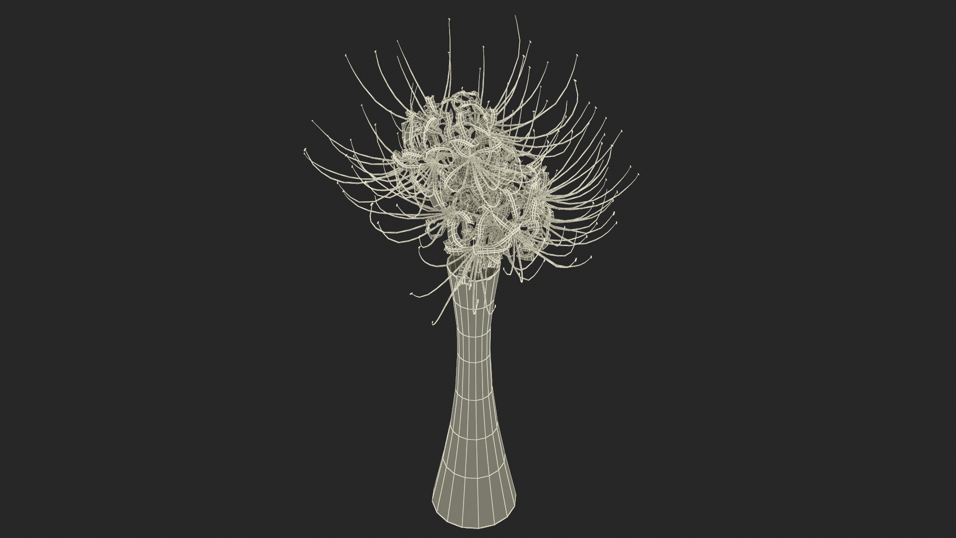 3D Bouquet of Spider Lilies in Glass Vase model