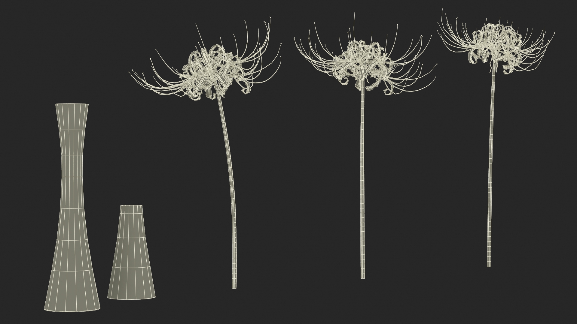 3D Bouquet of Spider Lilies in Glass Vase model