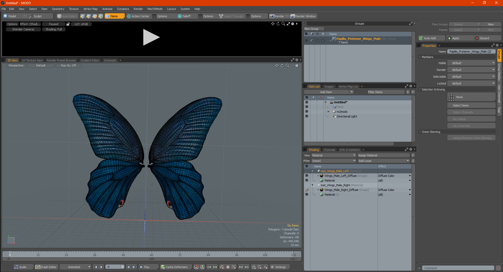 Papilio Protenor Wings Male 3D