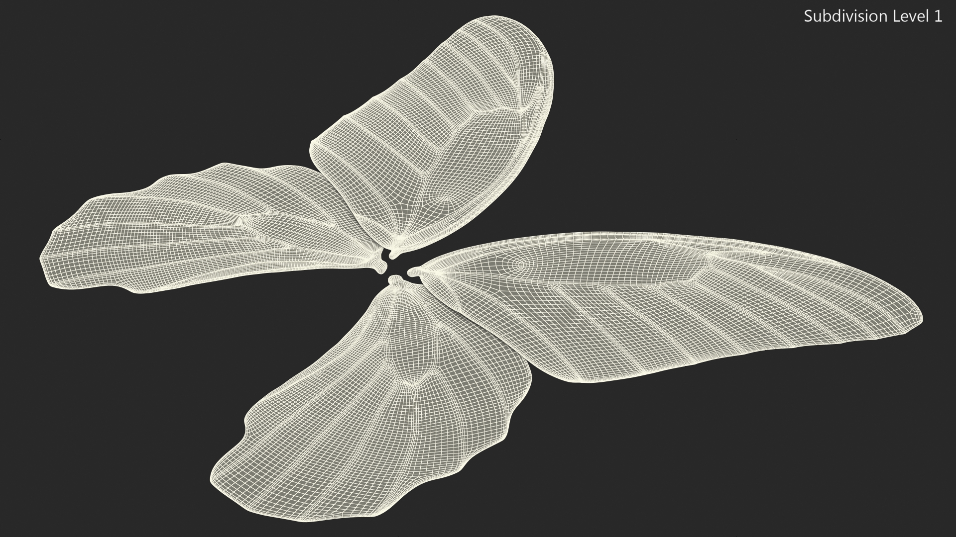 Papilio Protenor Wings Male 3D