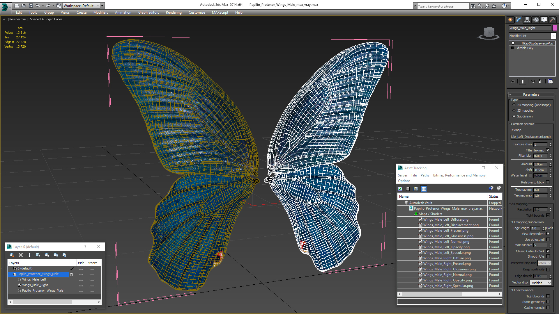 Papilio Protenor Wings Male 3D