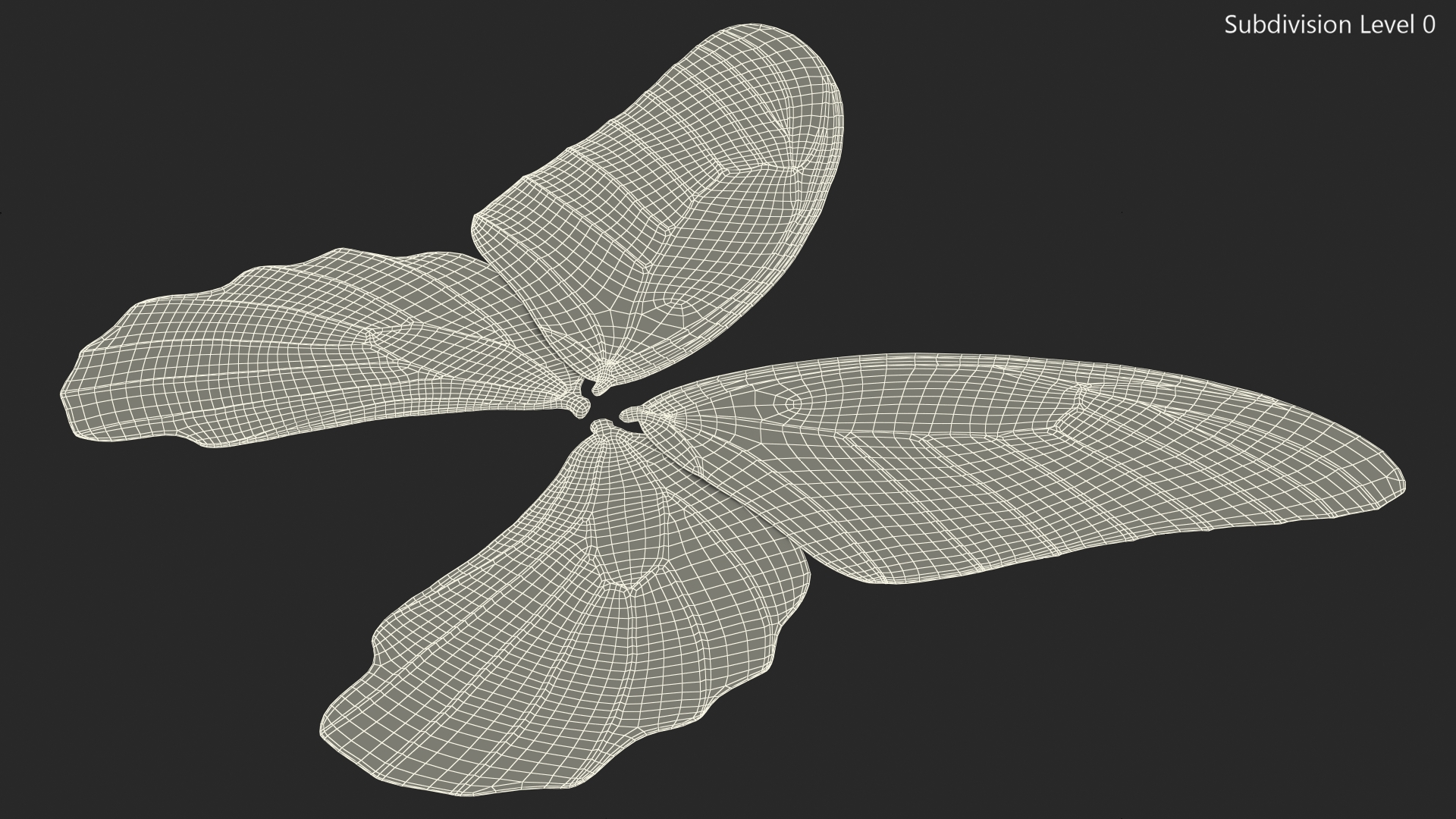Papilio Protenor Wings Male 3D