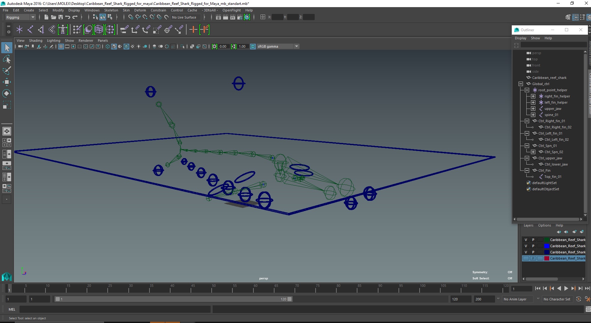 3D Caribbean Reef Shark Rigged for Maya