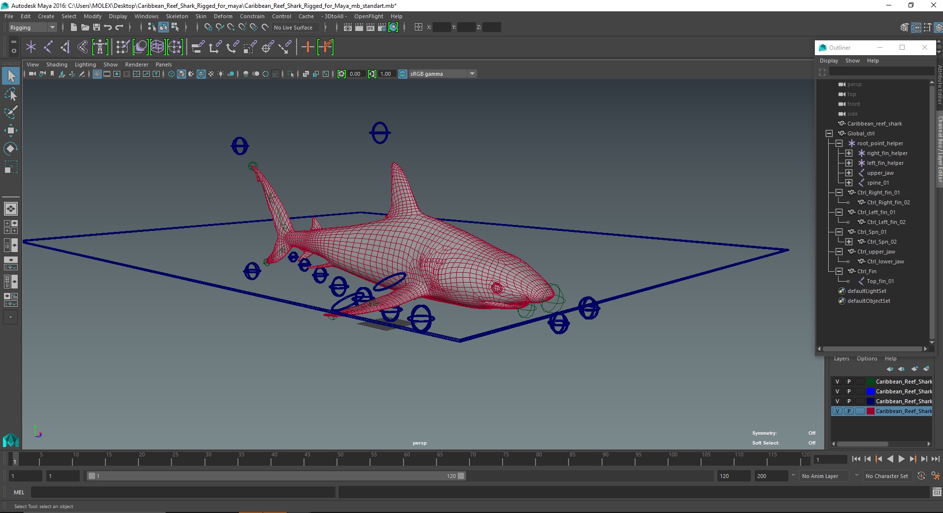 3D Caribbean Reef Shark Rigged for Maya