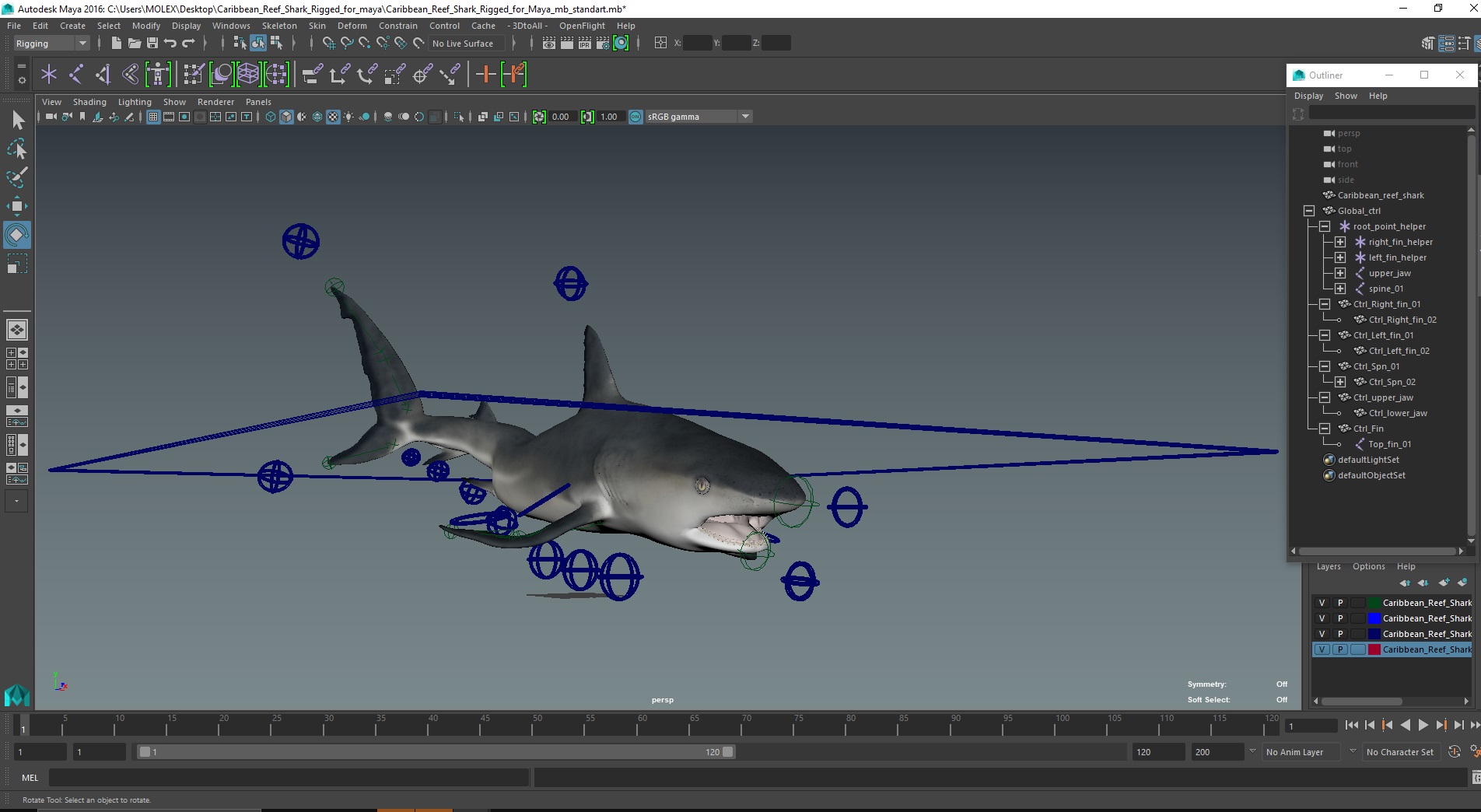 3D Caribbean Reef Shark Rigged for Maya