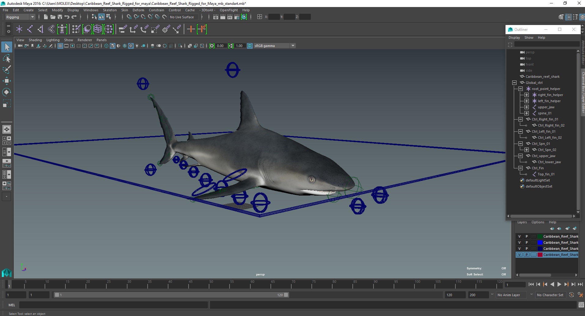 3D Caribbean Reef Shark Rigged for Maya