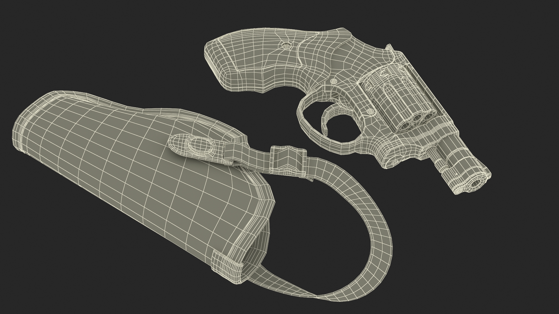 3D Revolver and Nylon Belt Holster
