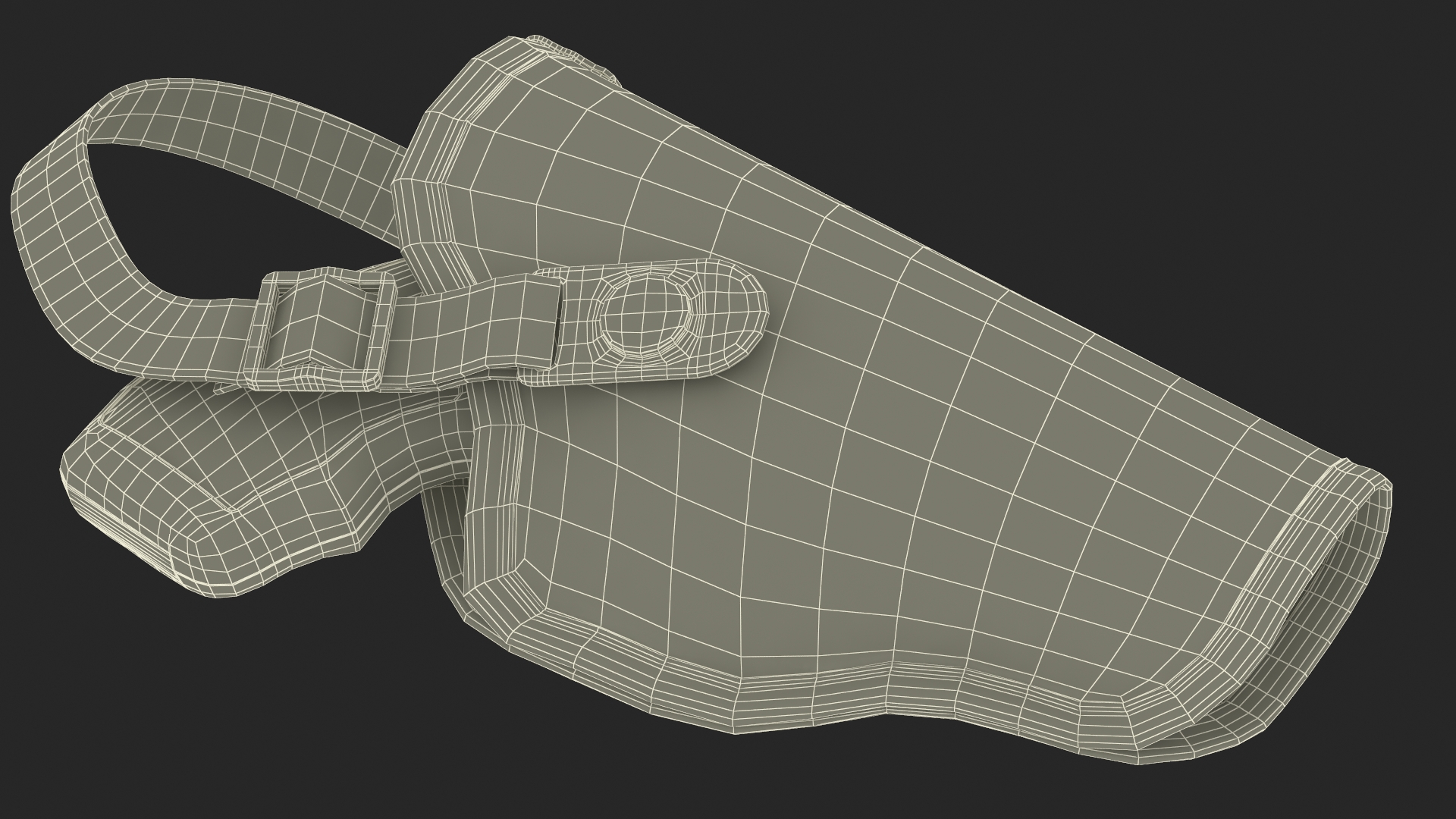 3D Revolver and Nylon Belt Holster