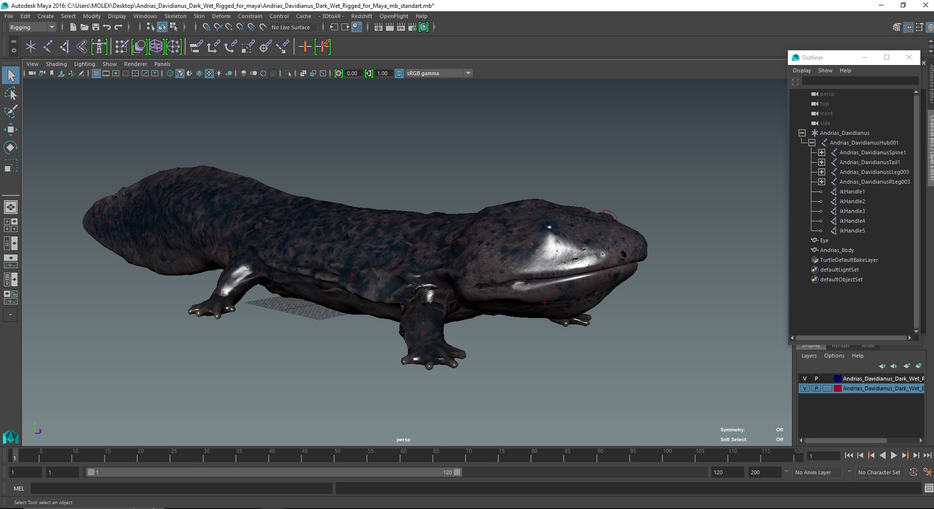 3D Andrias Davidianus Dark Wet Rigged for Maya model