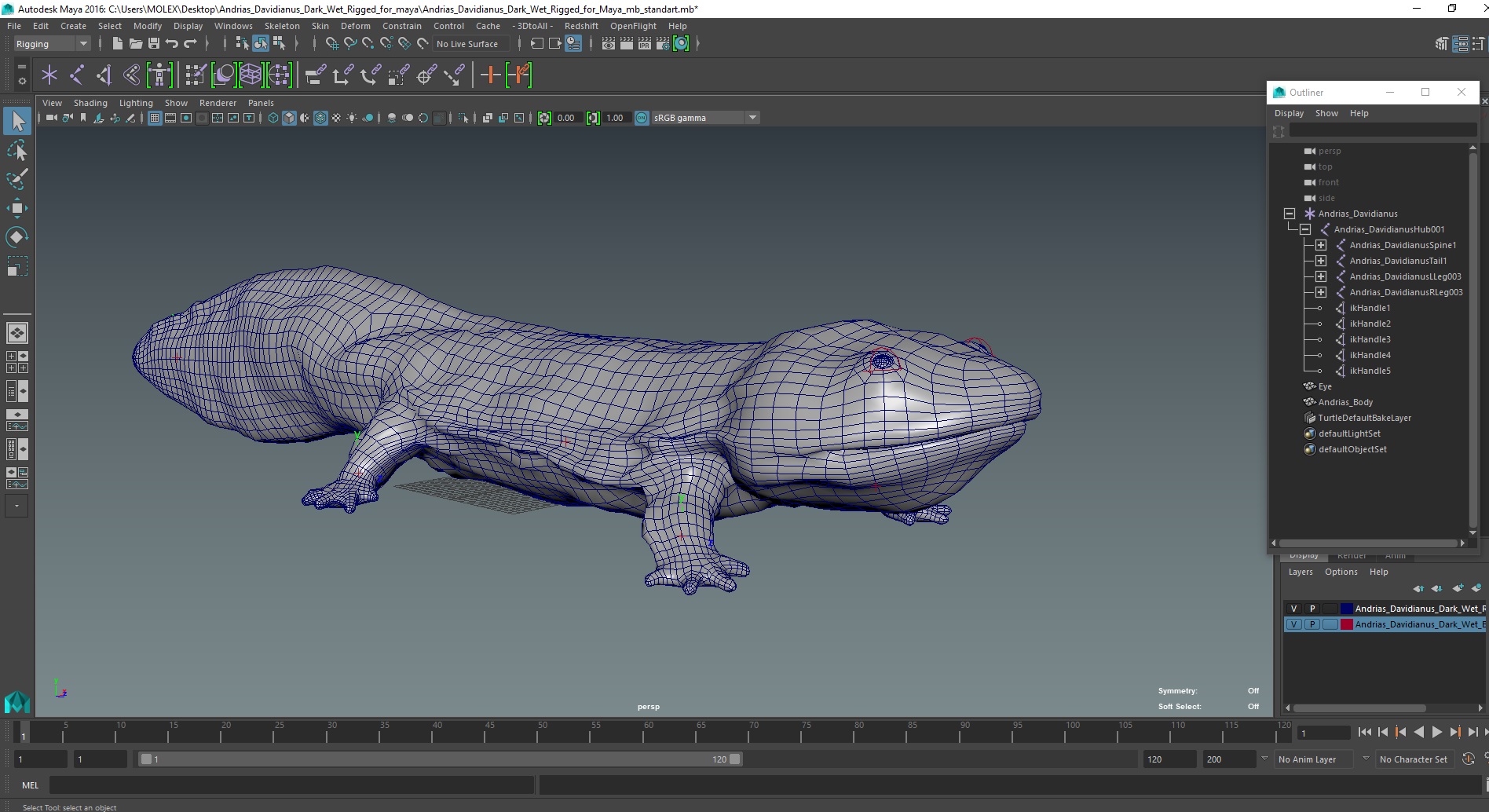 3D Andrias Davidianus Dark Wet Rigged for Maya model