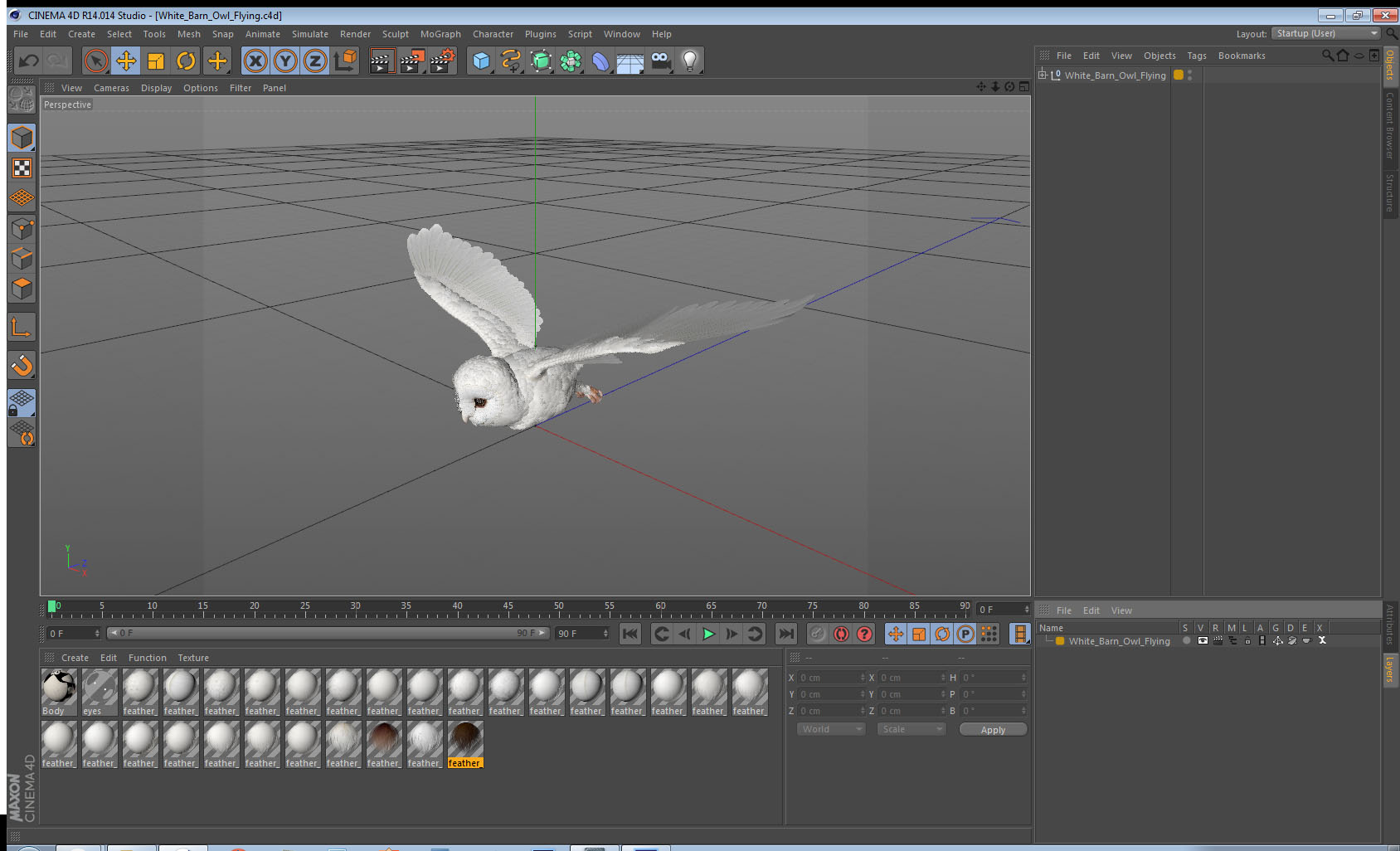 3D White Barn Owl Flying