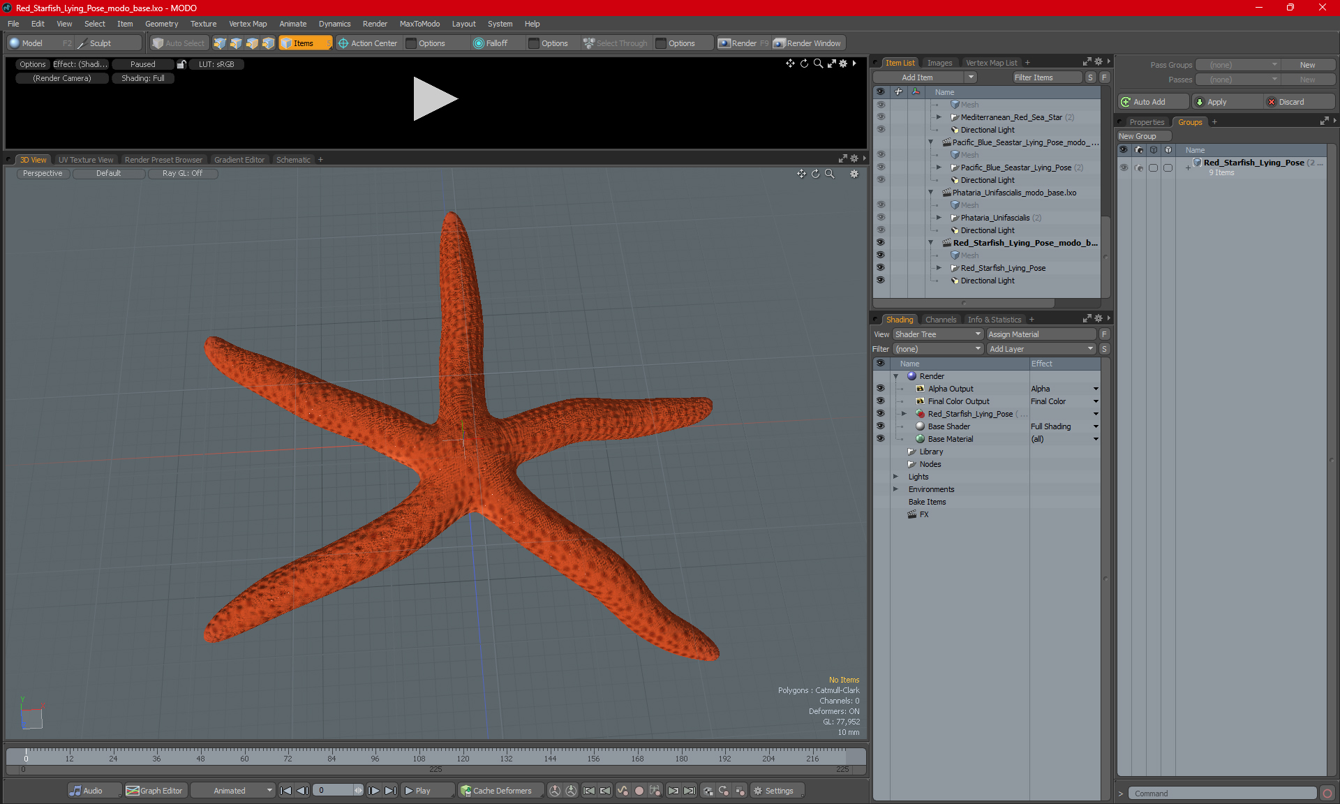 3D Red Starfish Lying Pose model