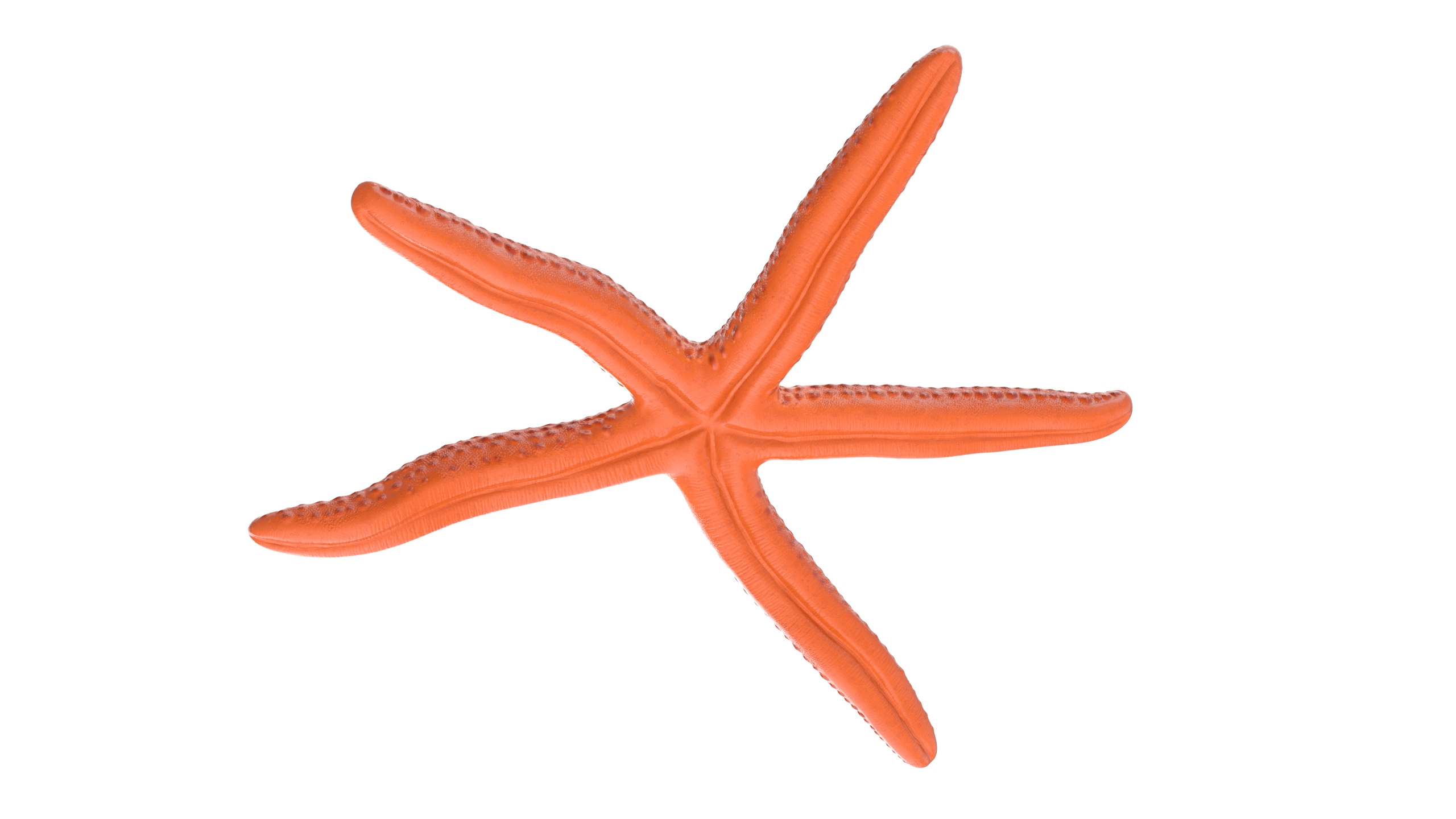 3D Red Starfish Lying Pose model