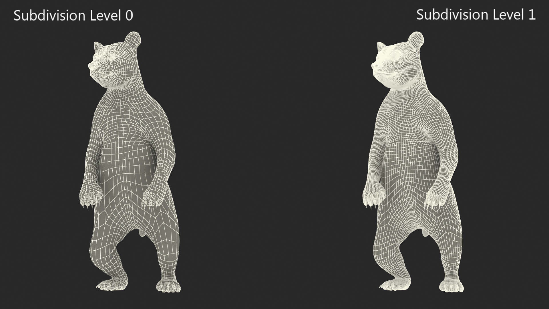 Standing Young Black Bear Fur 3D model