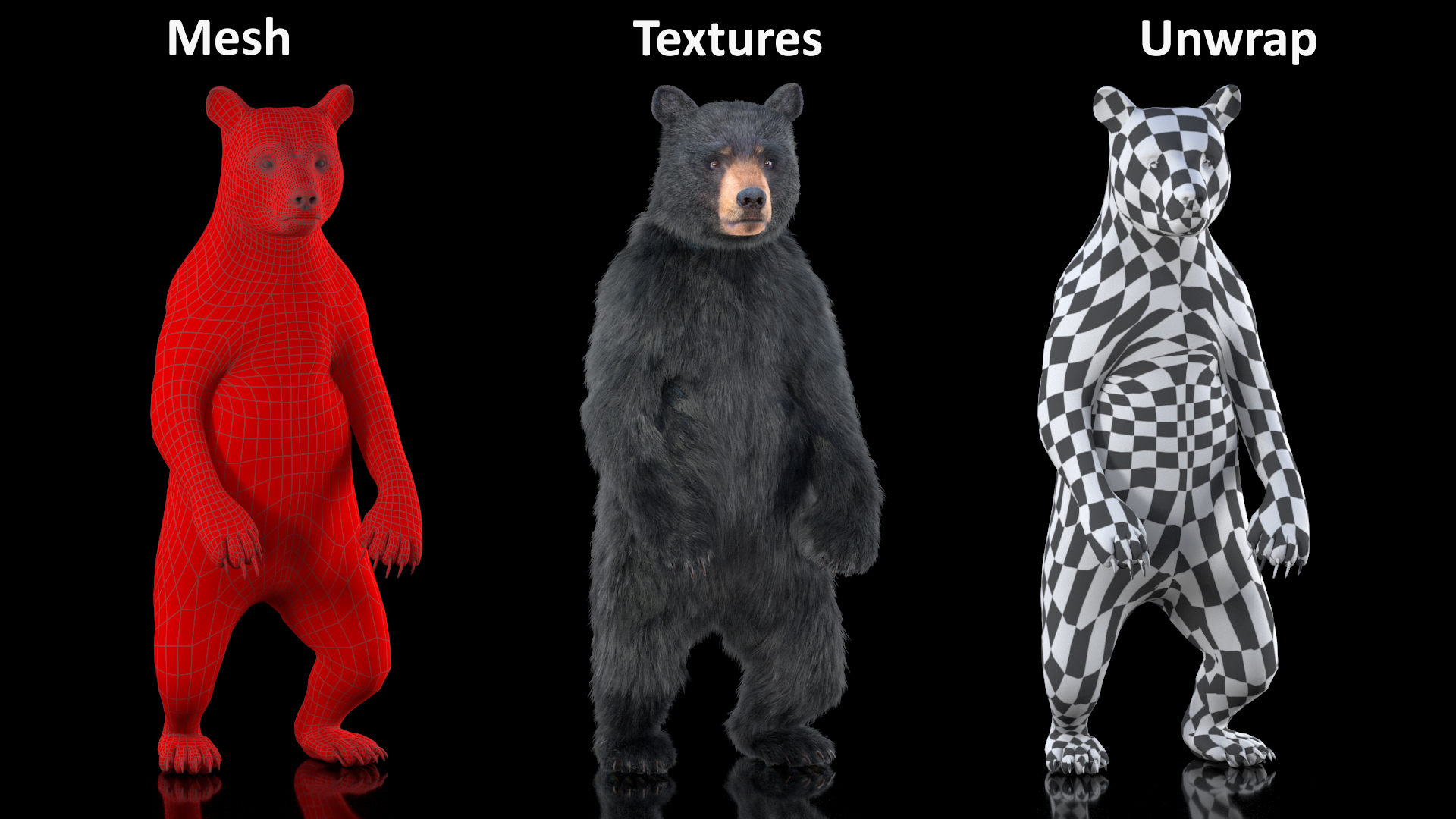 Standing Young Black Bear Fur 3D model