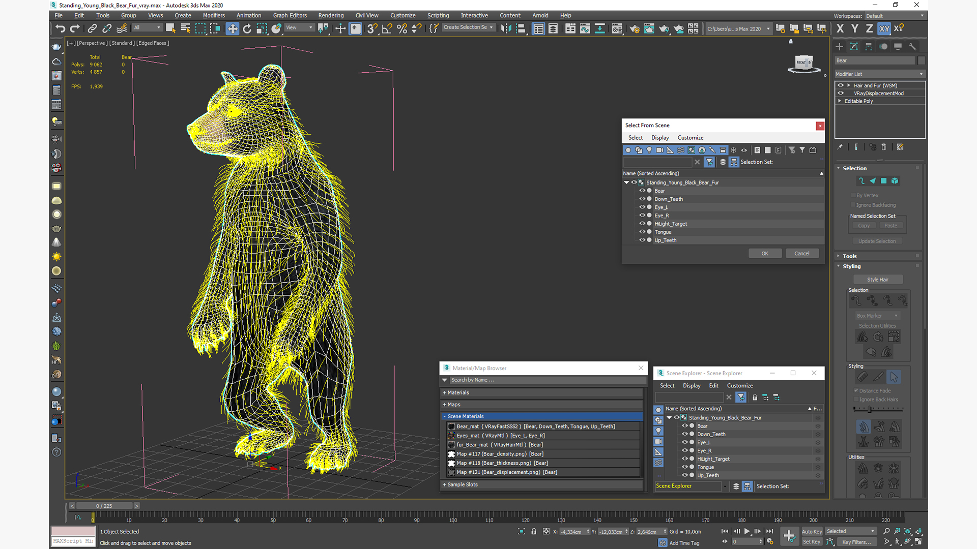Standing Young Black Bear Fur 3D model