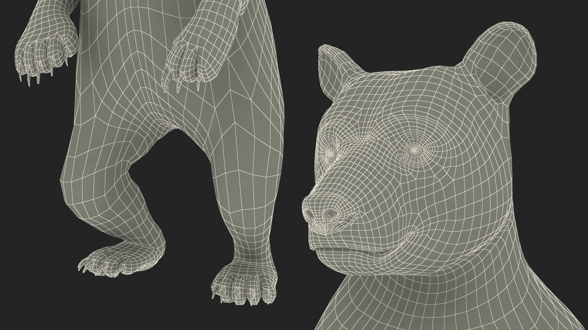 Standing Young Black Bear Fur 3D model